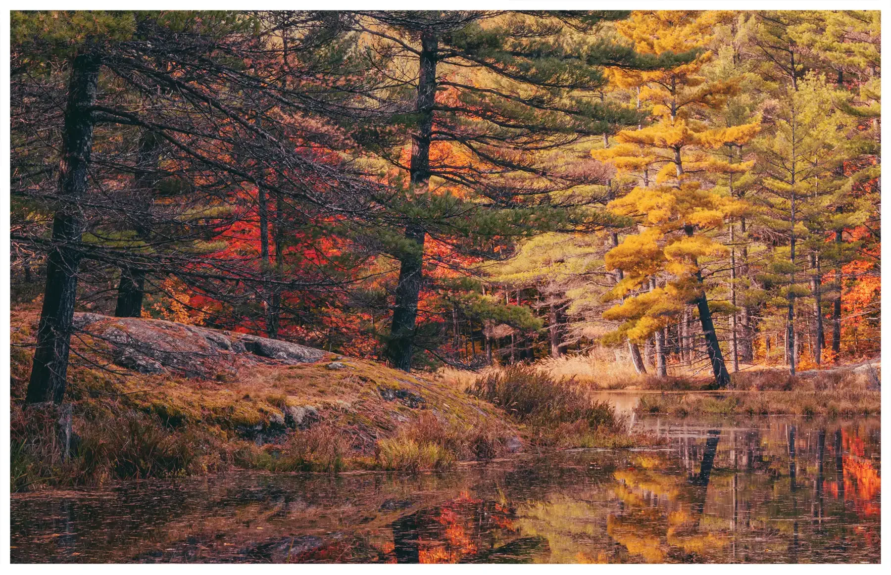 quiet-31.webp