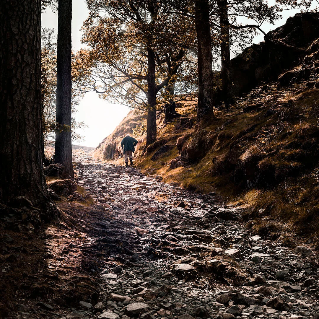 oldman-borrowdale.jpg