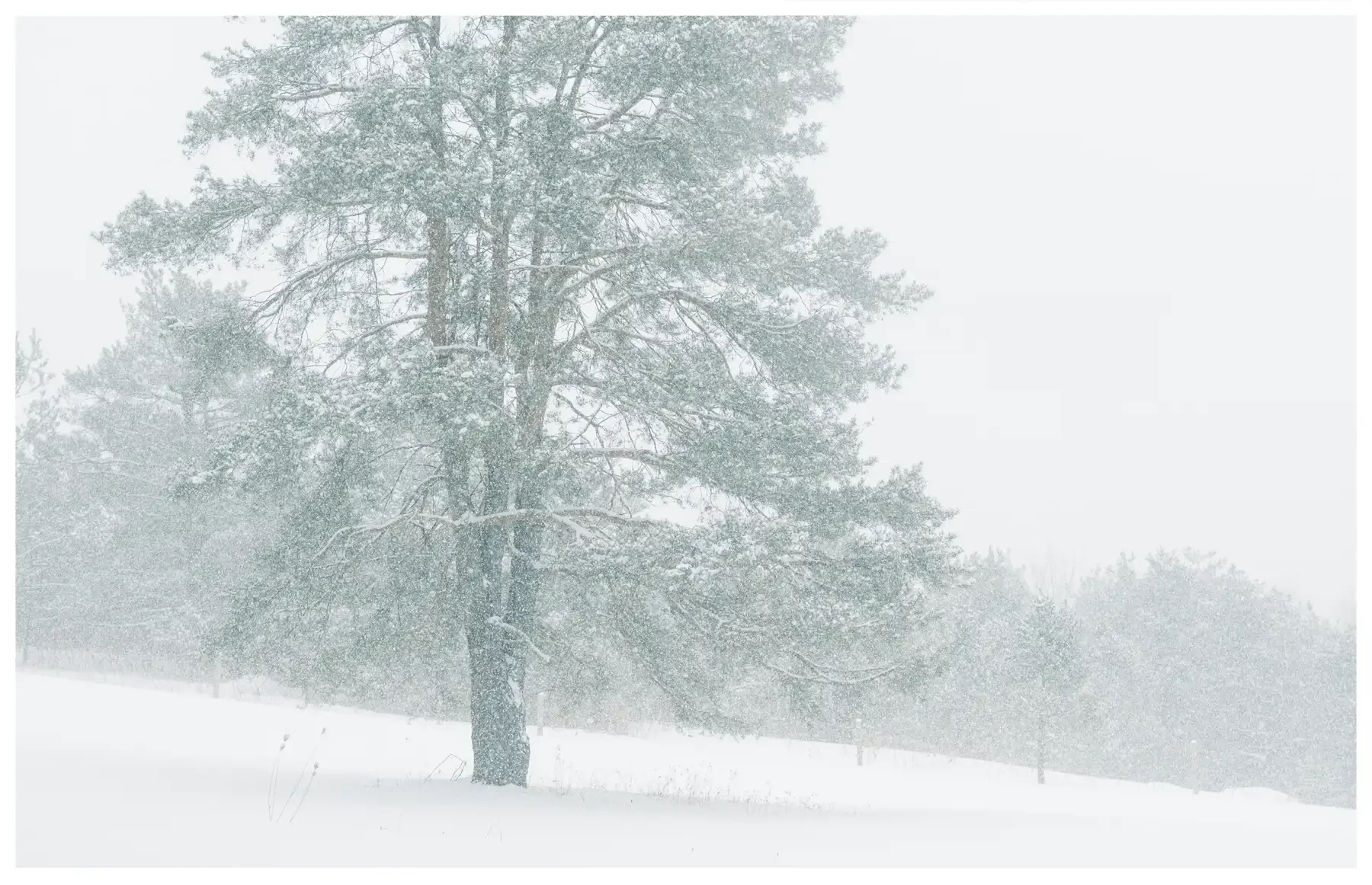 quiet-29.webp