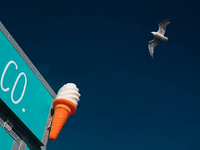 sb-5.webp
