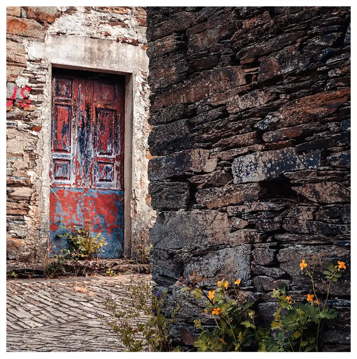 signs-19.webp