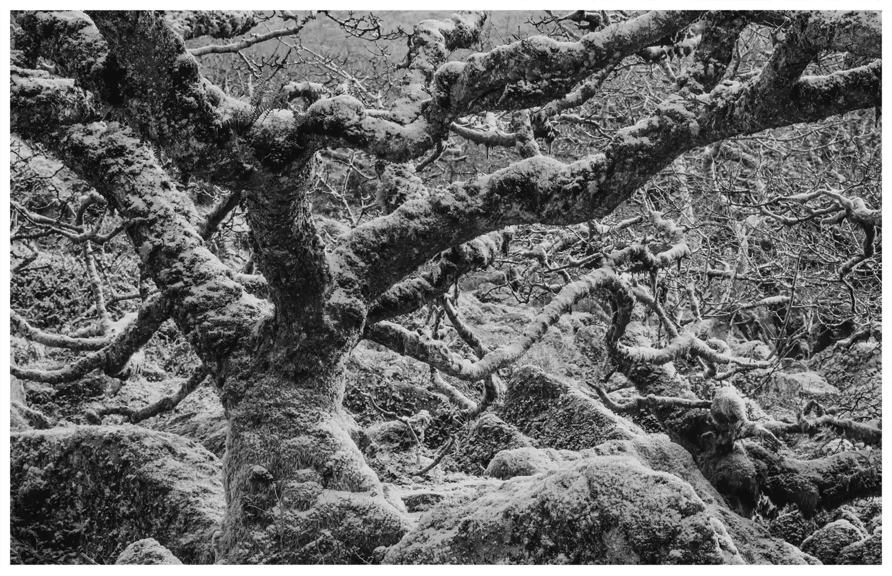 places-bw-09.webp