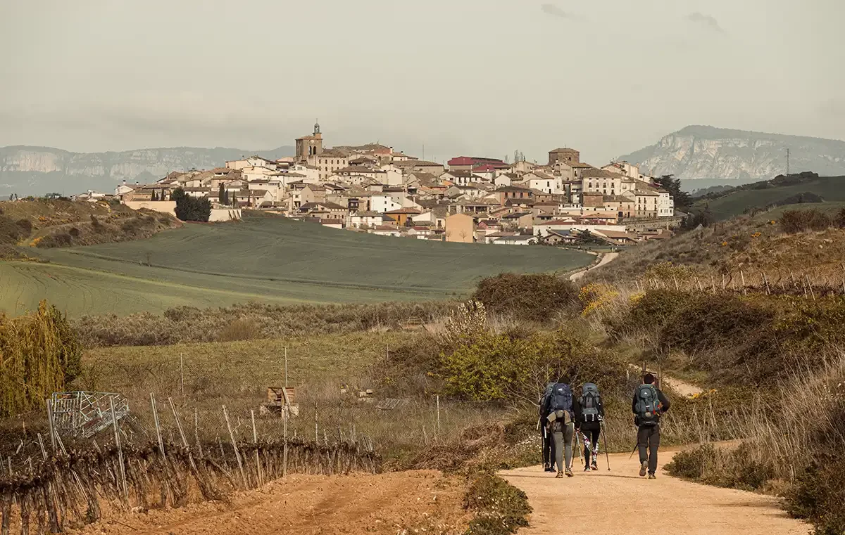 Camino-13 copy.webp