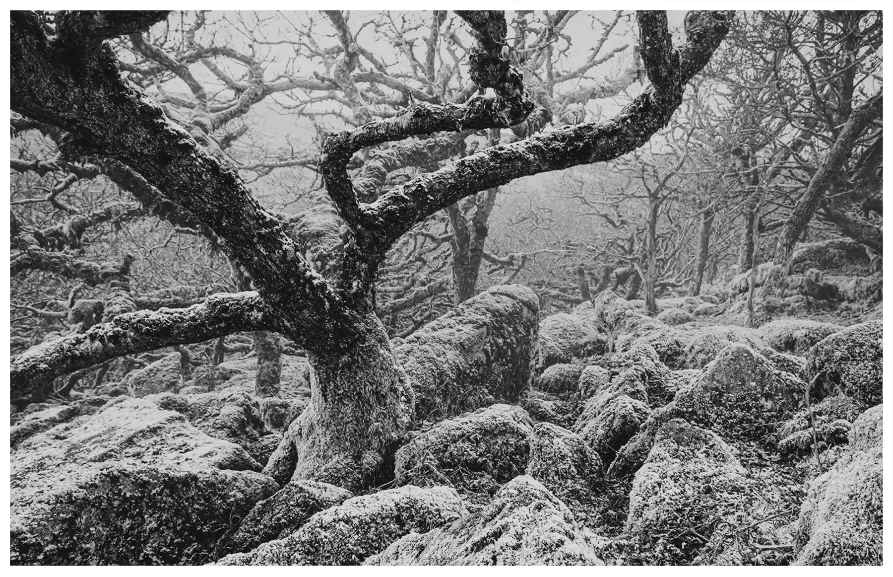 places-bw-11.webp