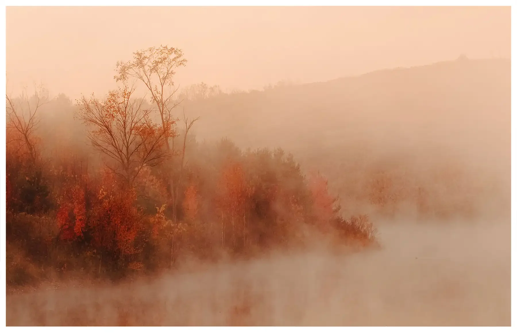quiet-28.webp