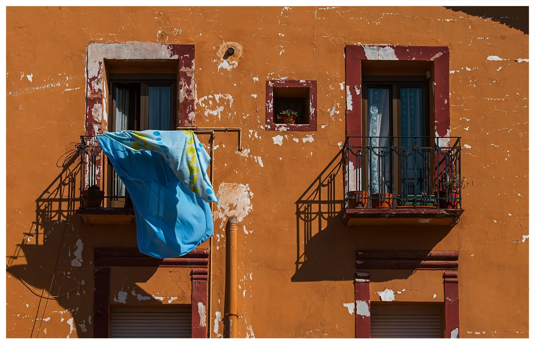 colour-study-09.webp