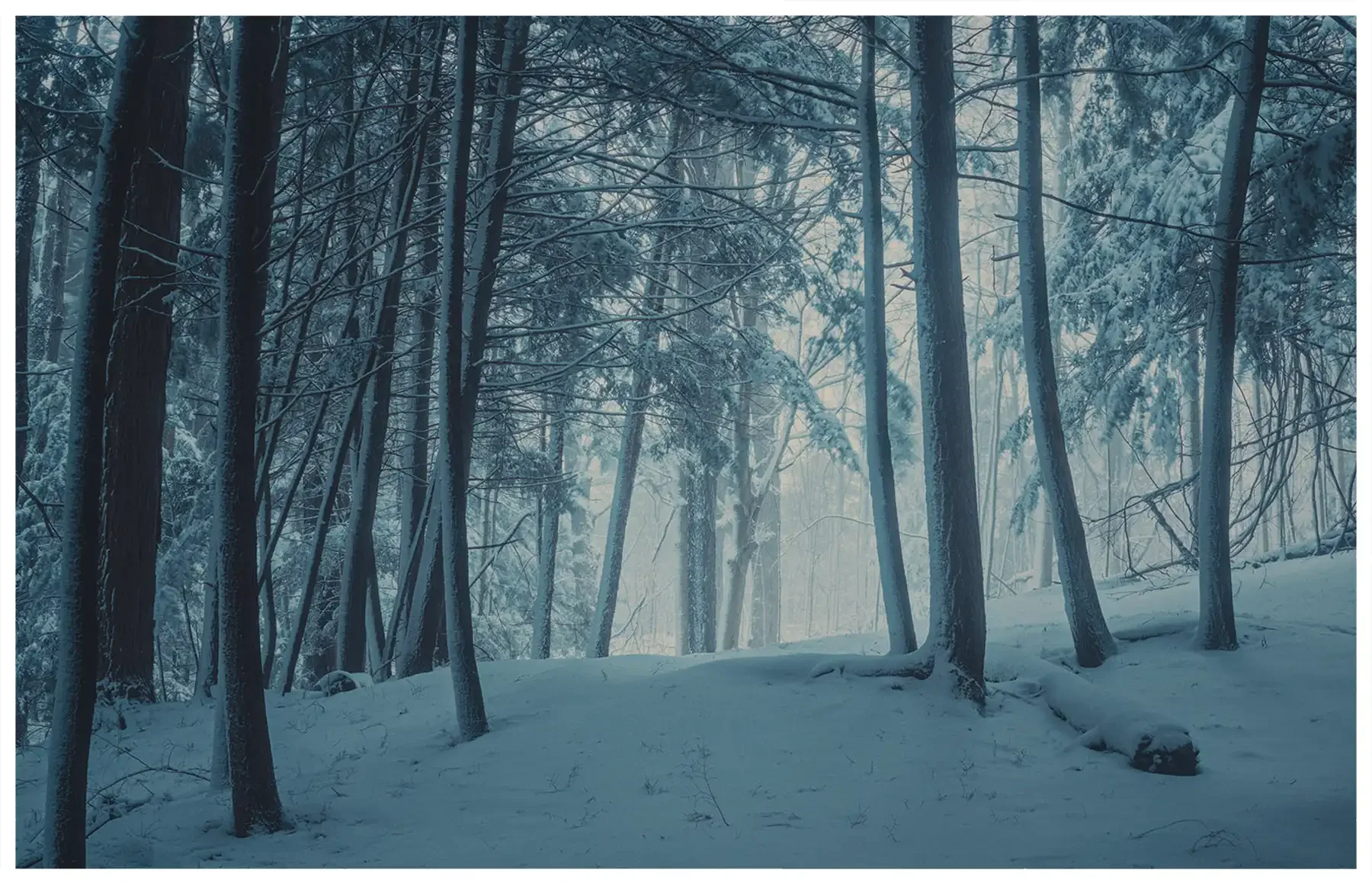 quiet-26.webp