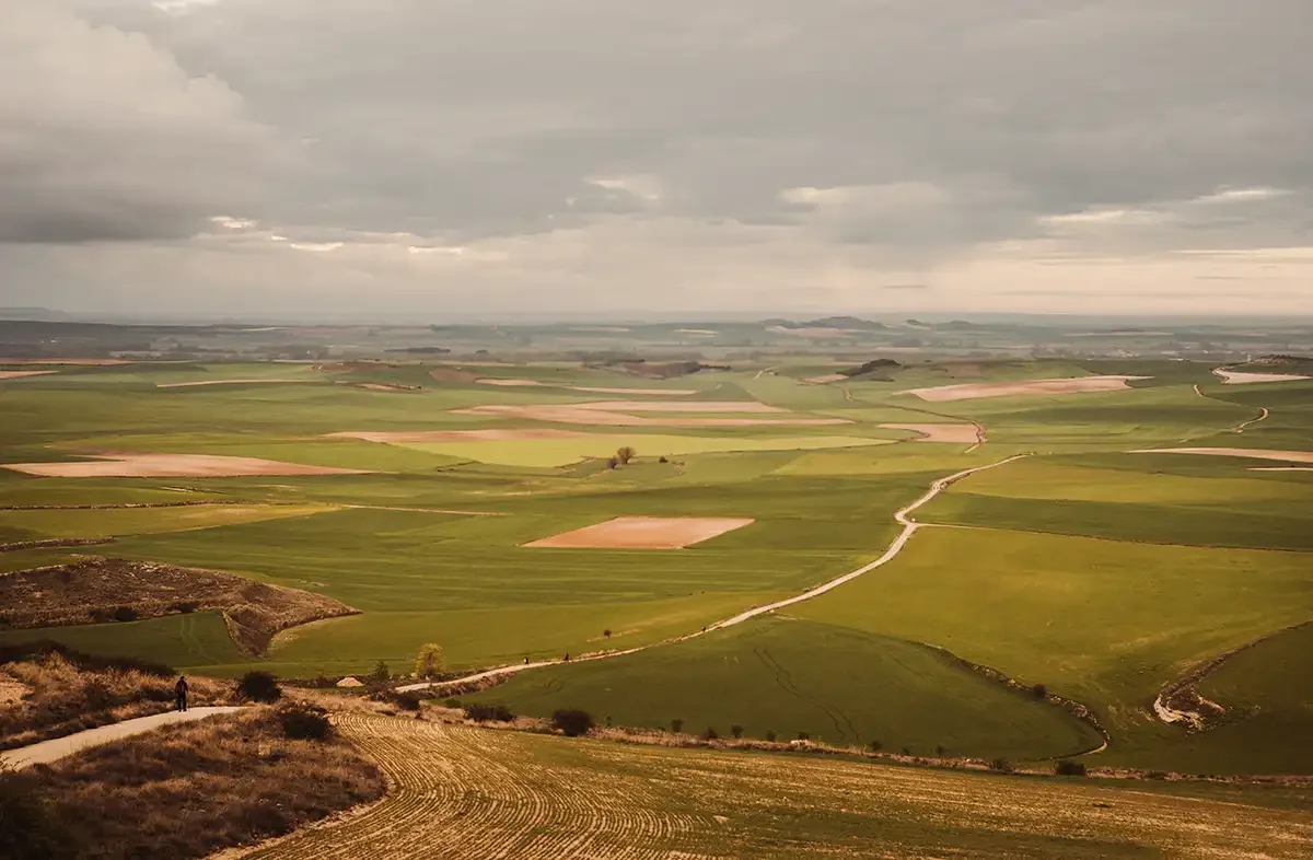 Camino-Meseta-01 copy.webp