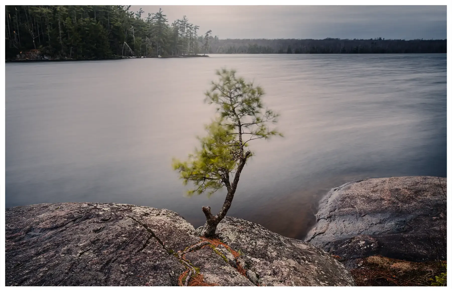 quiet-24.webp