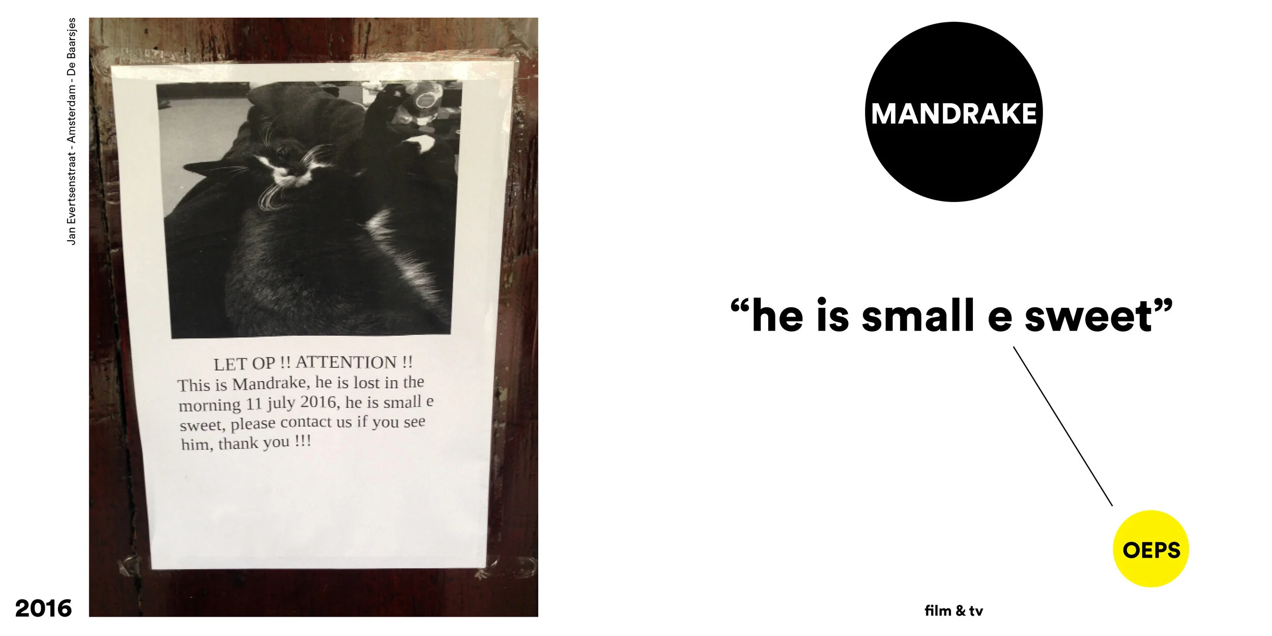 film & tv | 2016 | amsterdam | kat | poezenbriefje | vermist | mandrake