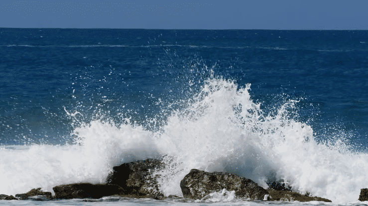 DORADO wide FC2-high.gif