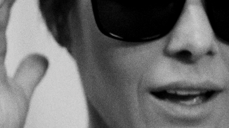 violet grey web 2-high.gif