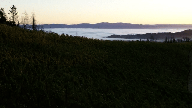 Rudd 50 sec wide fc1-low.gif