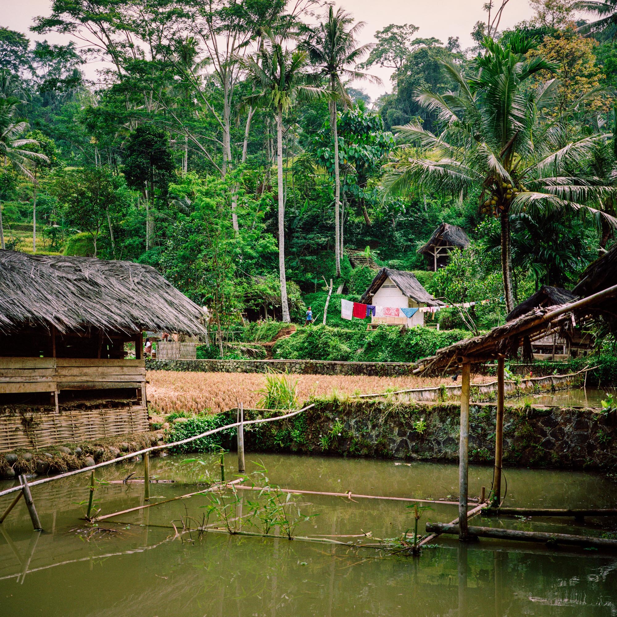 Indonesian village