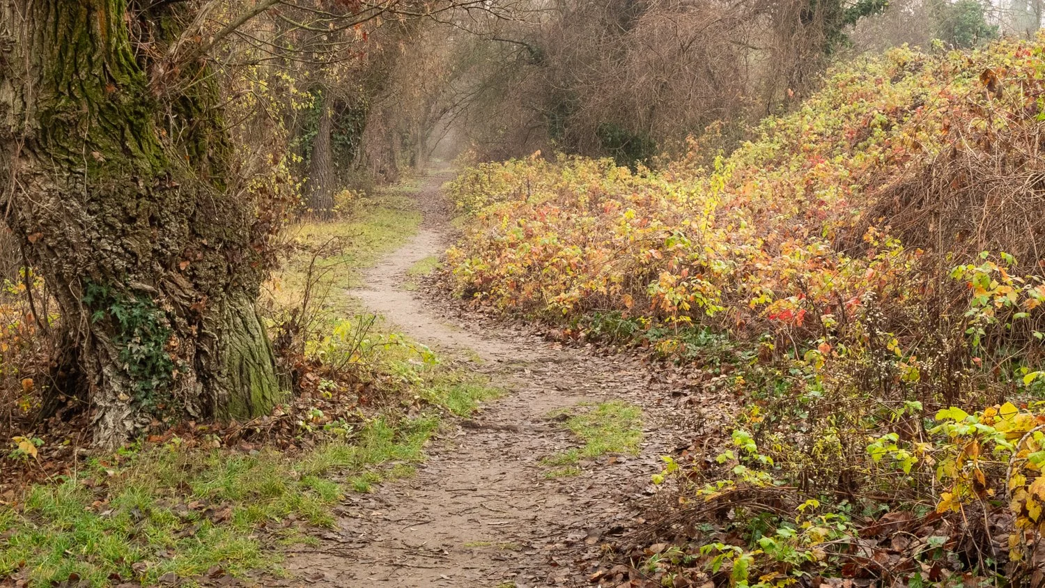 DSCF7864-Edit.jpg