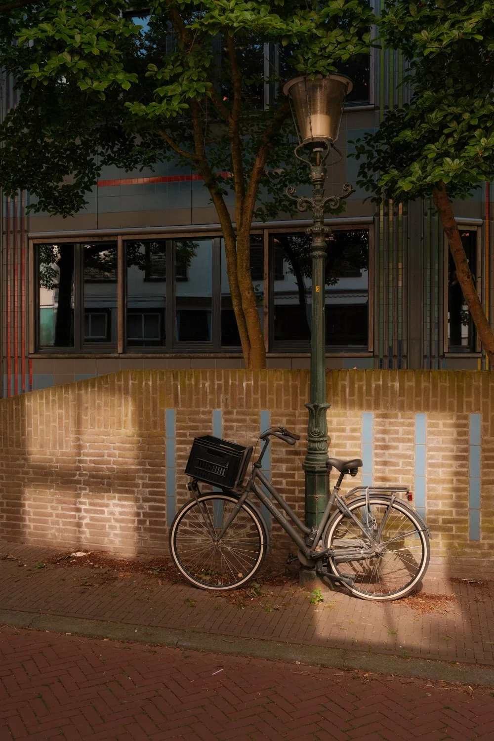 DSCF6156-Edit-2.jpg