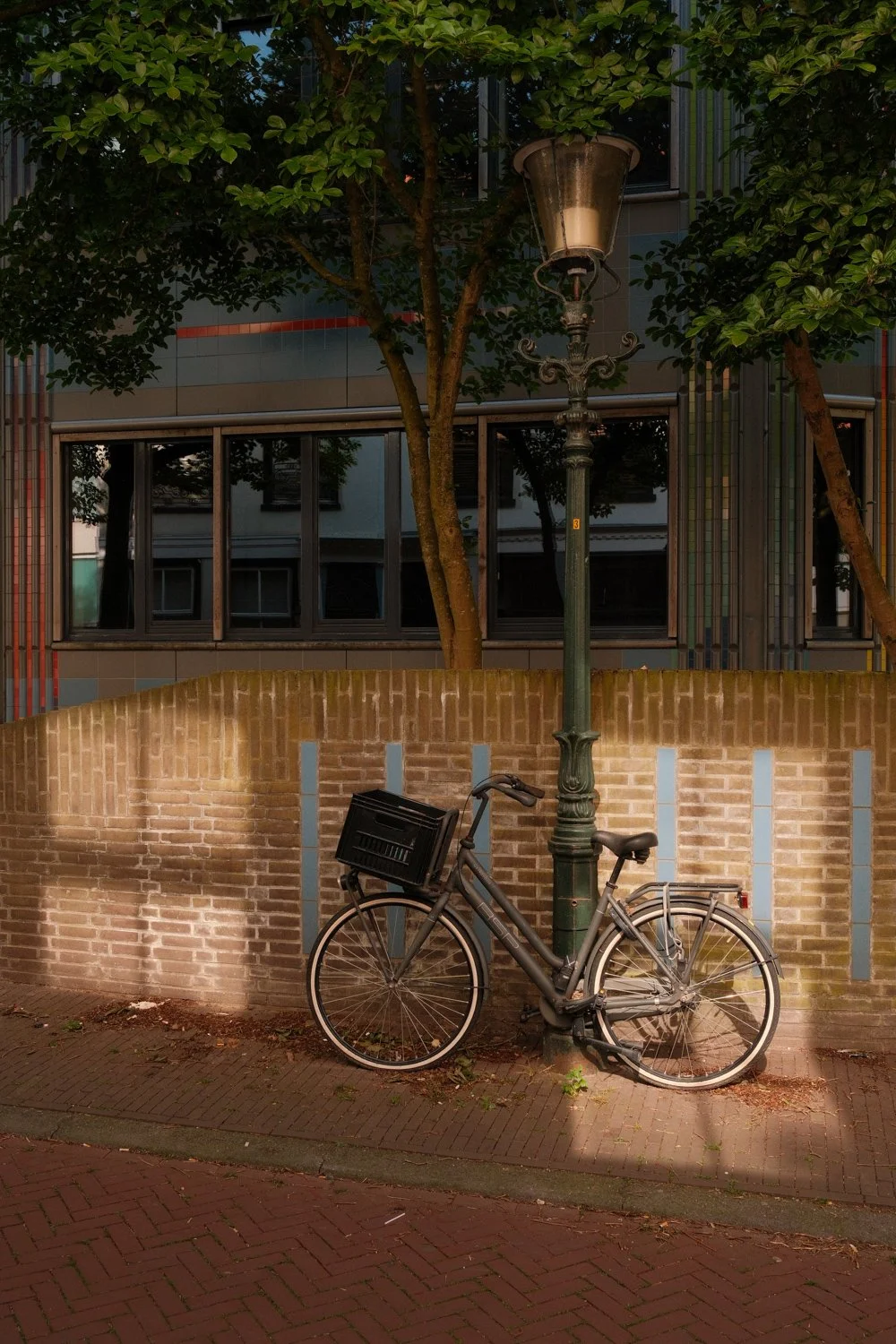 DSCF6156-Edit.jpg