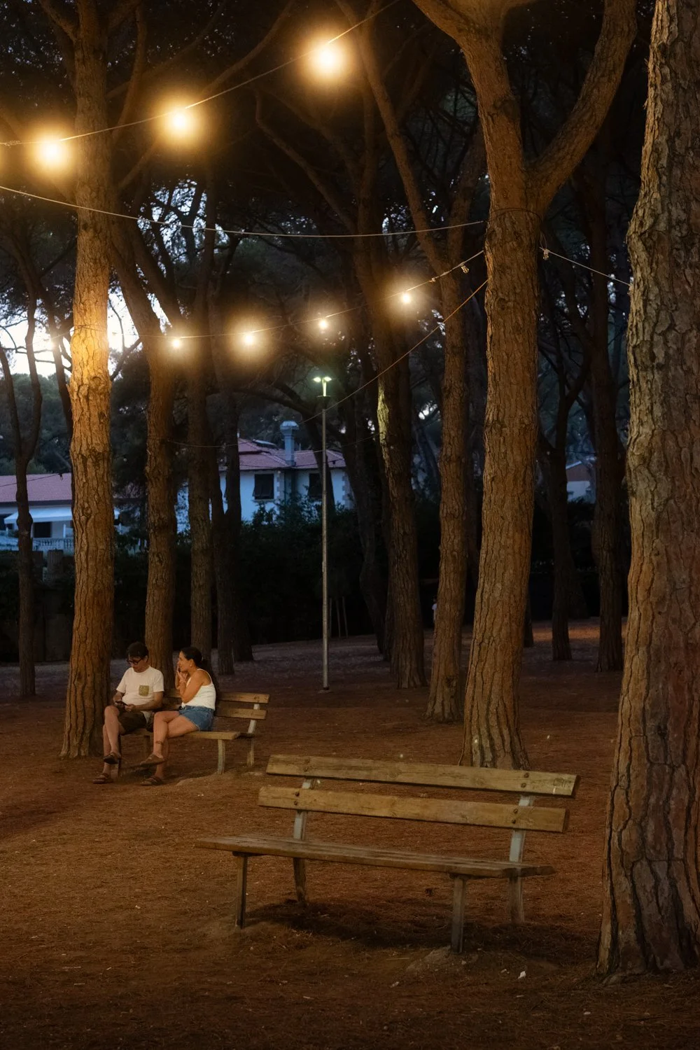DSCF4297-Edit-Edit.jpg