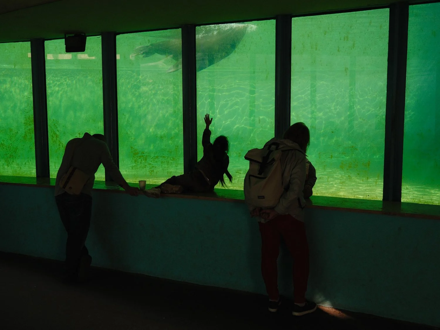 DSCF5537-Edit.jpg