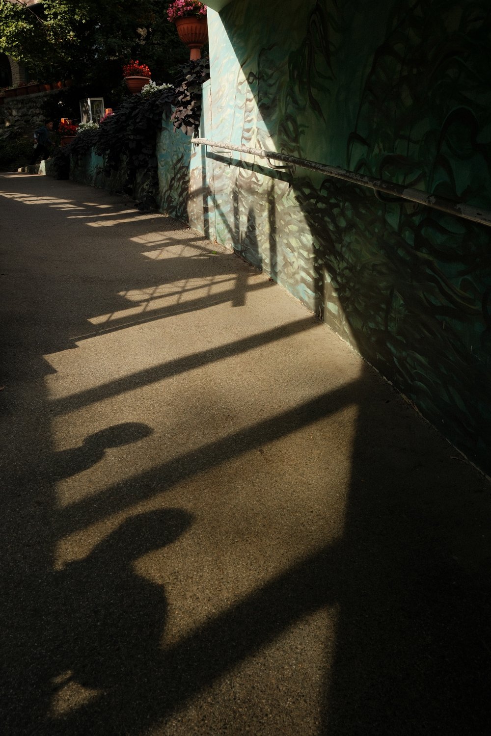 DSCF5605-Edit.jpg