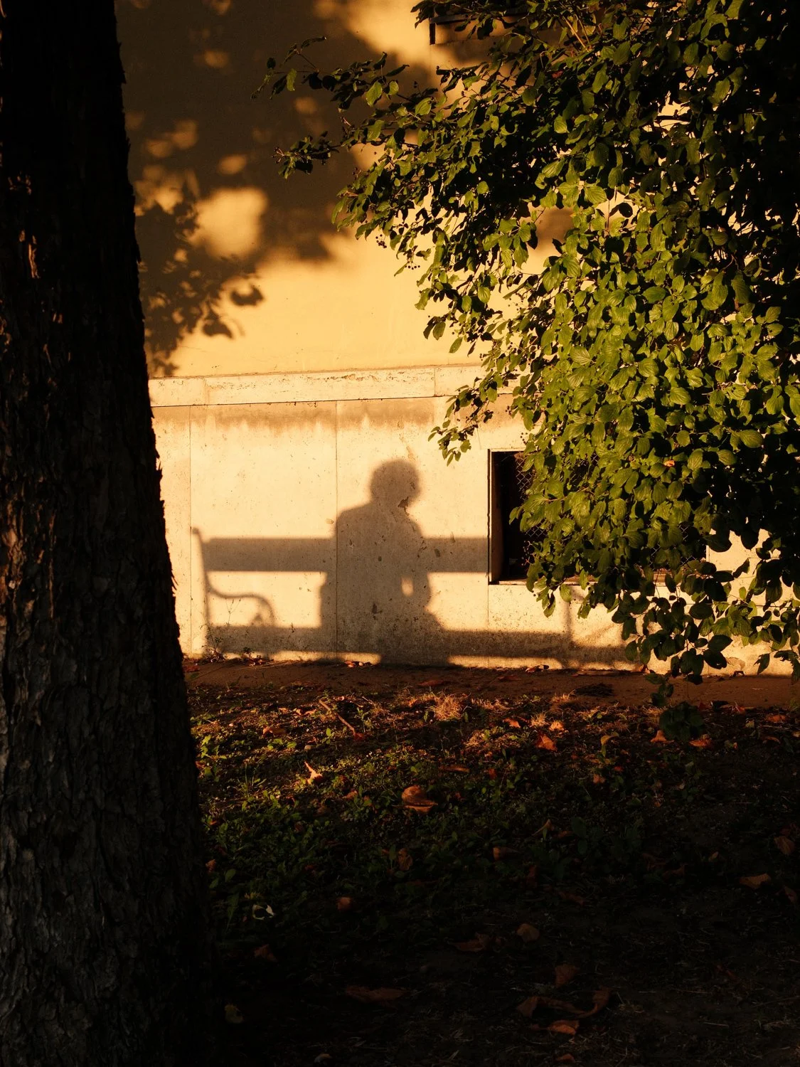 DSCF5797-Edit.jpg