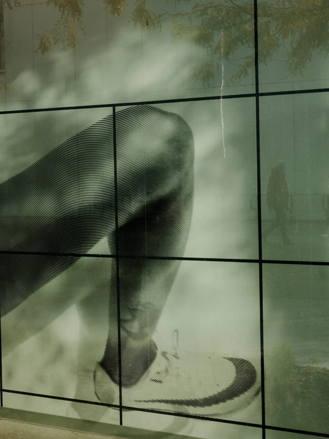 DSCF5685-Edit.jpg