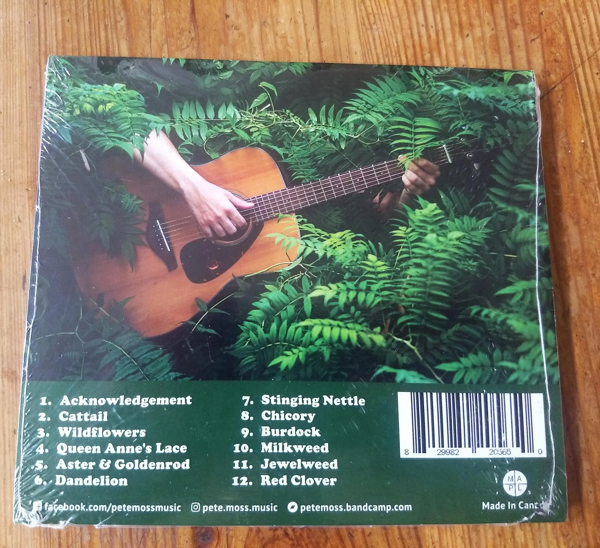 plantsrockCD2.jpg