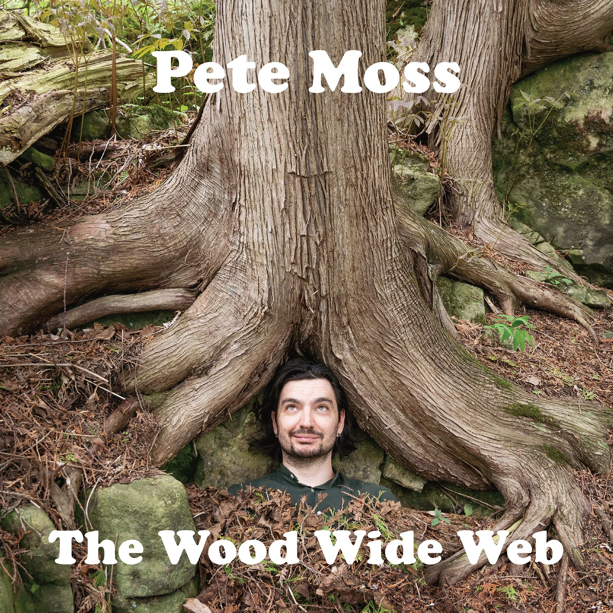 Pete_Moss_WWW_streaming_album_art_2000x2000px.jpg