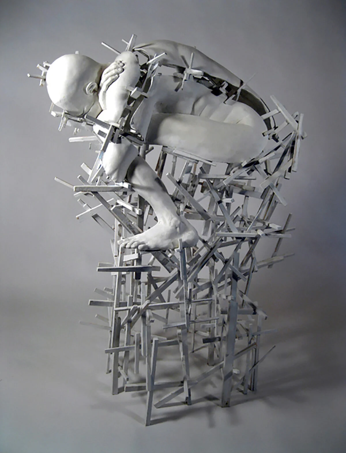 Thicket