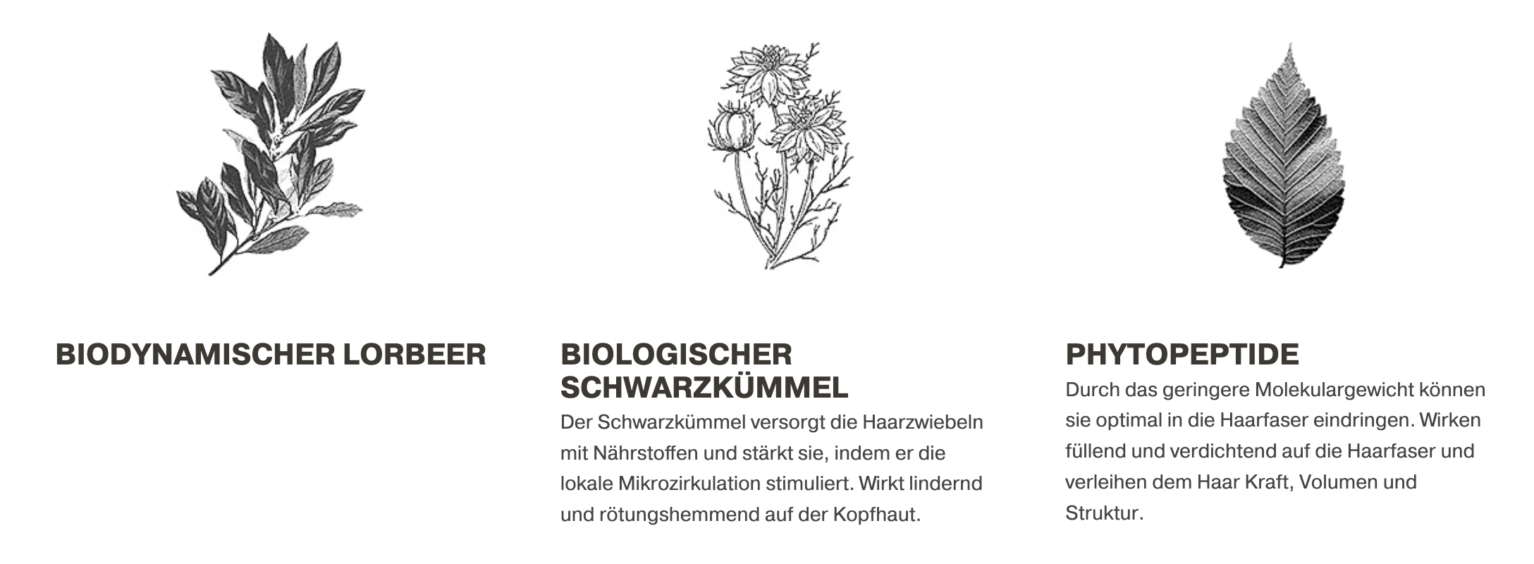 Bildschirmfoto 2022-11-14 um 13.36.28.png