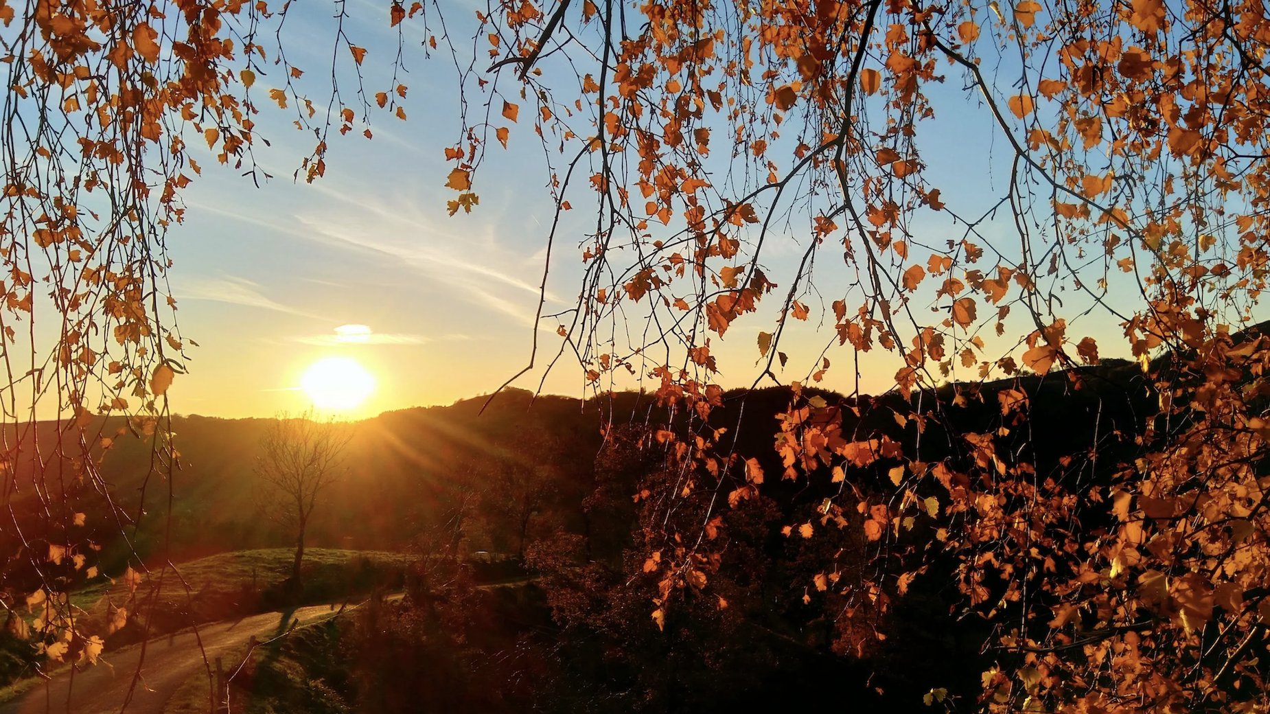 Paysage d'automne dans la vallée de la Jordanne, Cantal Auvergne