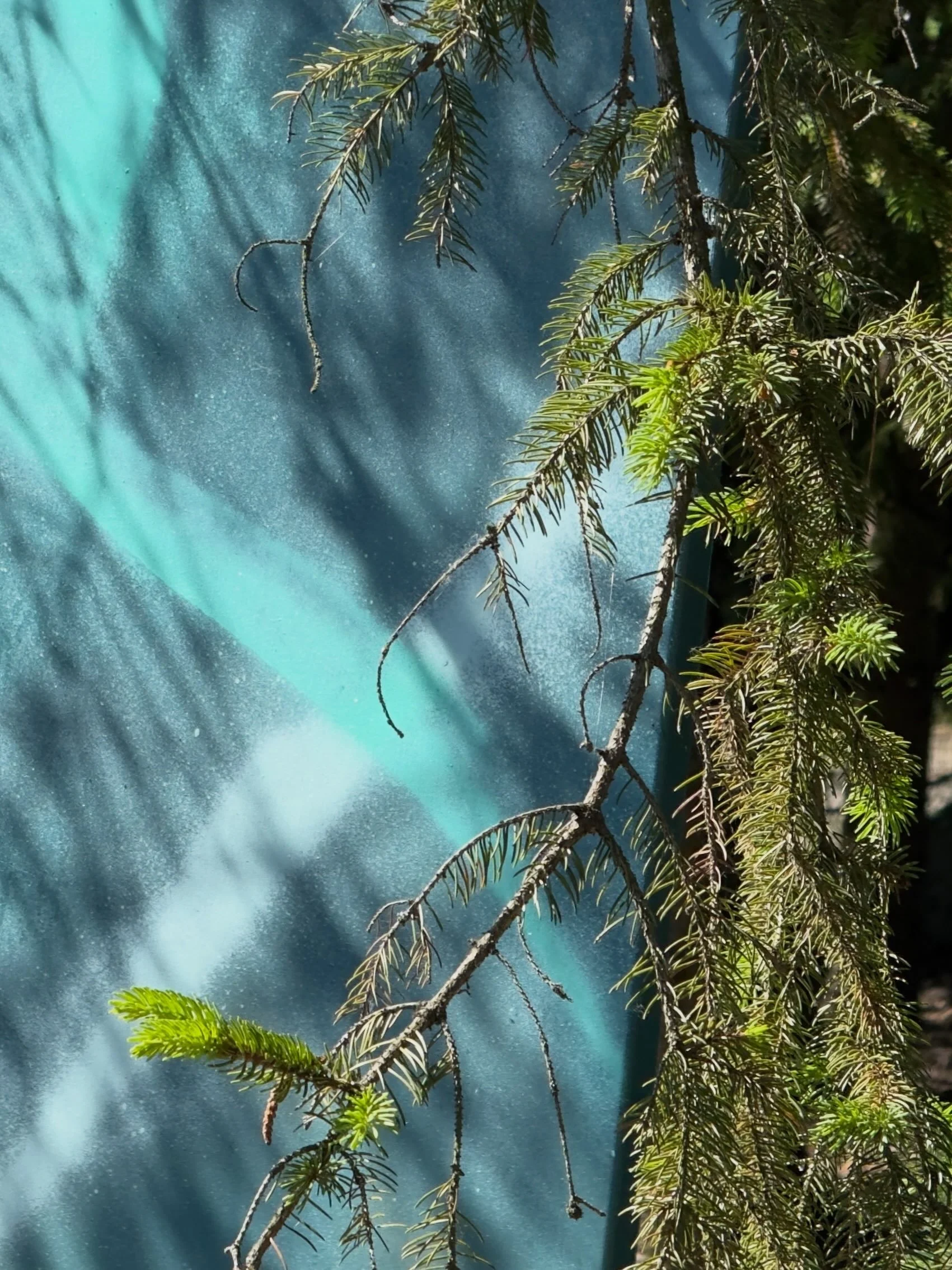 FA6F1C7E-83A8-4DB8-90D9-C5A5DE8125F0.jpeg