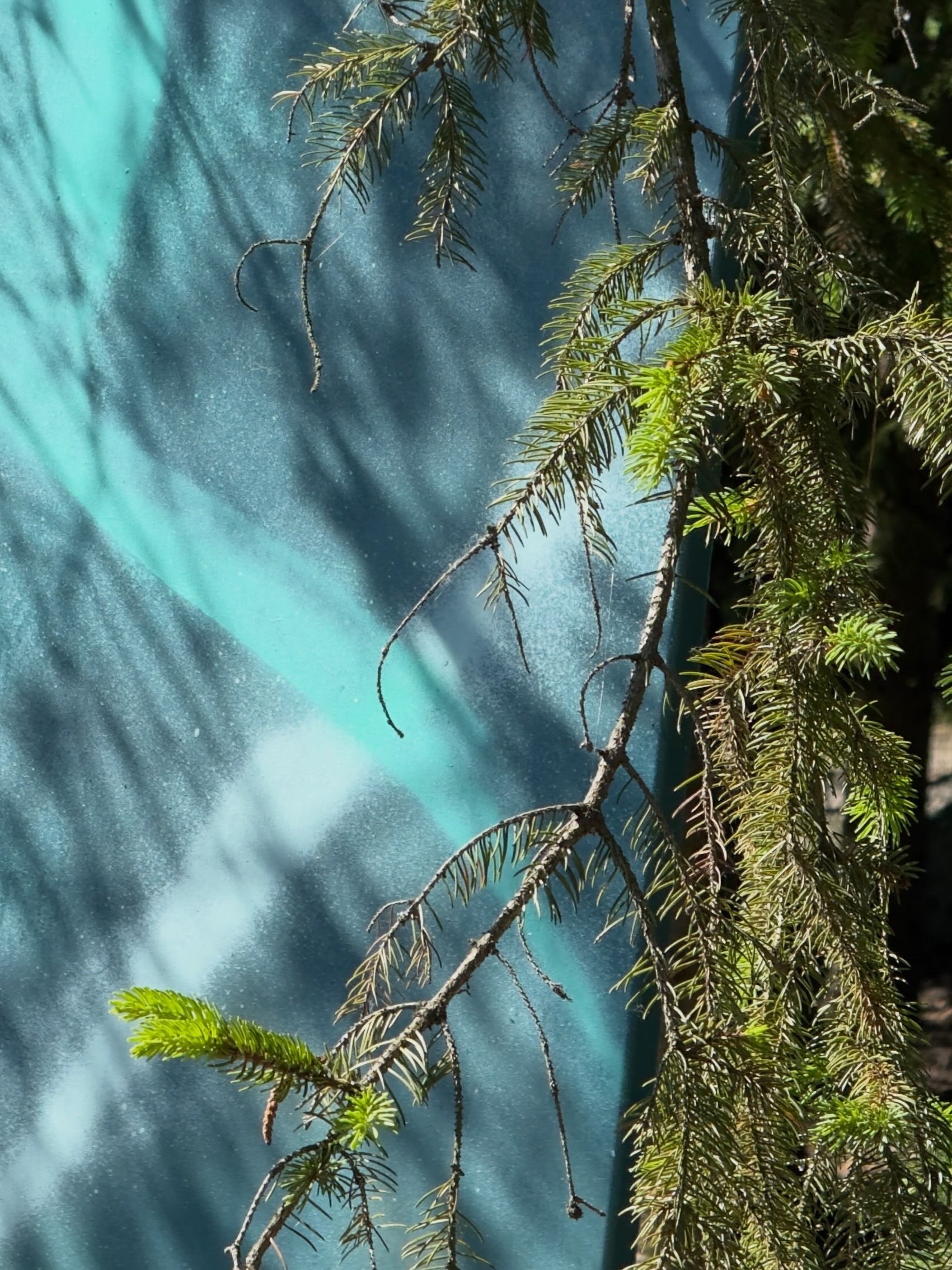 FA6F1C7E-83A8-4DB8-90D9-C5A5DE8125F0.jpeg