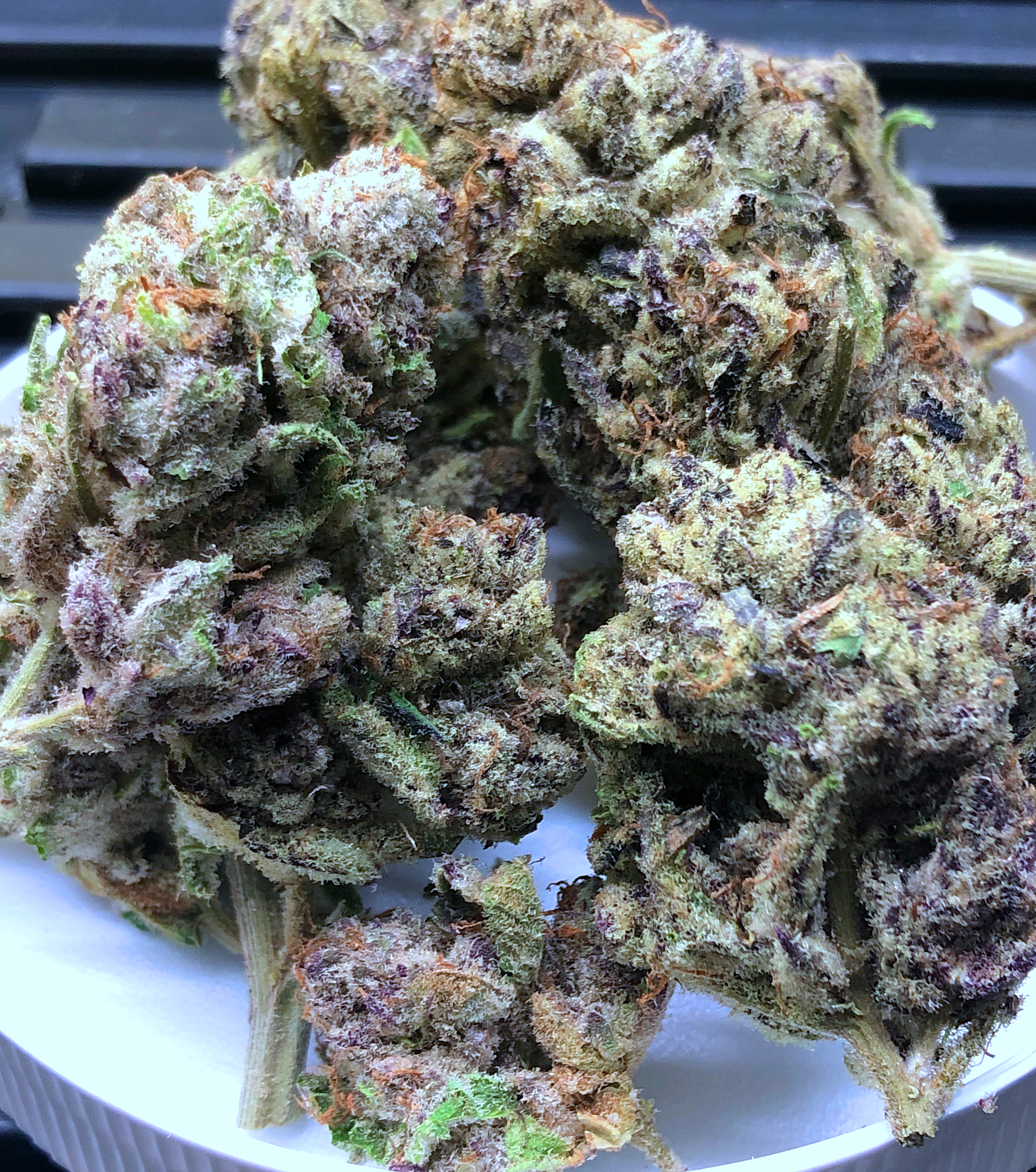 bud2.png