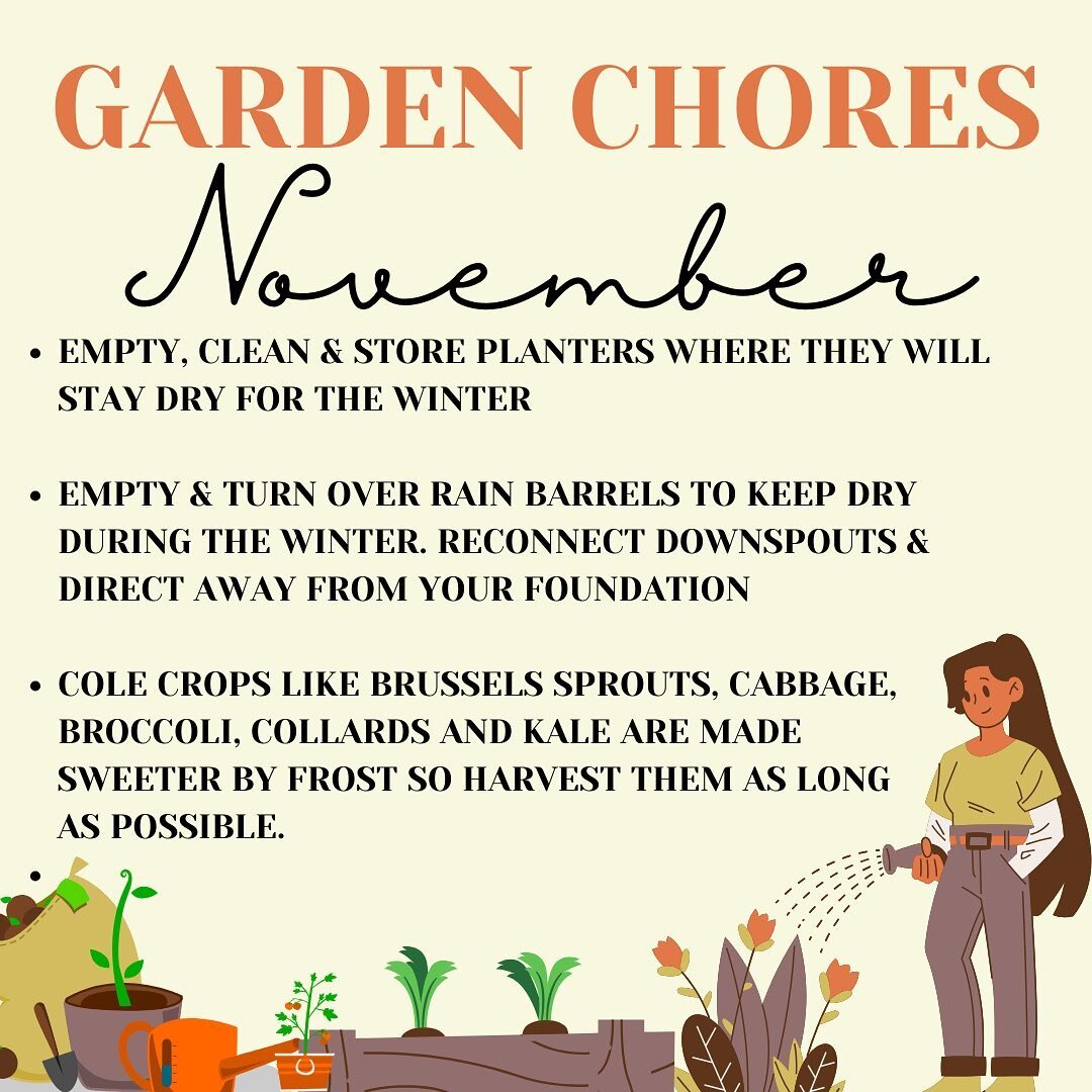 Happy November 🍂 The weather may be cold, but there&rsquo;s still plenty of garden work to do! 

#shelbyparkcommunitygarden #gardenchores #gardening #november #shelbyparklouisville #louisvillelove #growyourown #communitygarden #growyourownfood