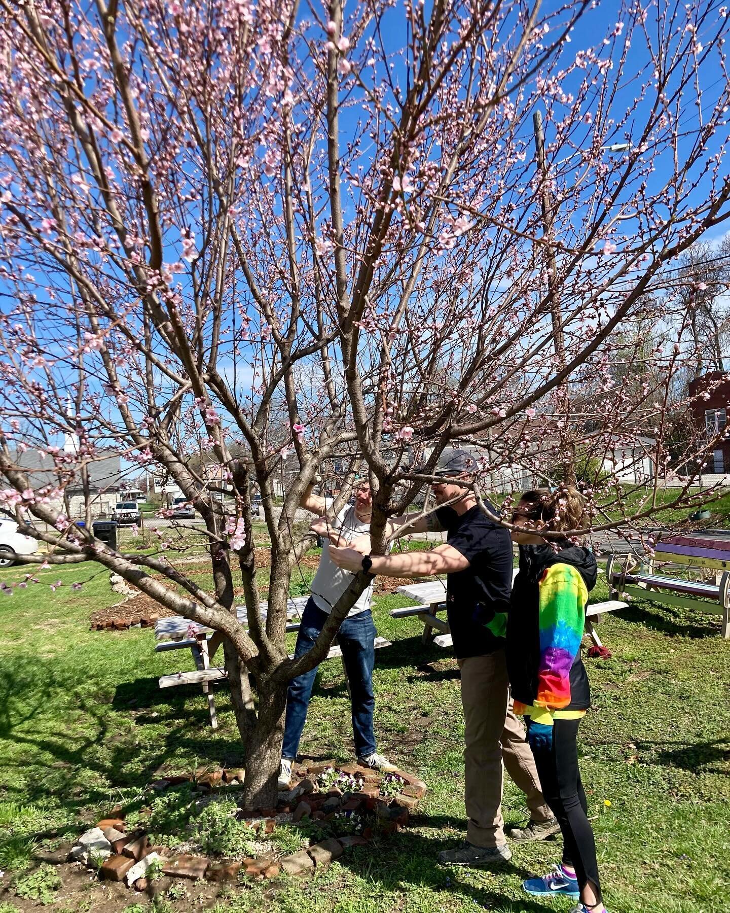 Our first workday of the year was a huge success! Thank you to everyone who came out to lend a hand on this beautiful Saturday afternoon. It&rsquo;s amazing what we can accomplish when we work together!

#shelbyparkcommunitygarden #shelbyparklouisvil