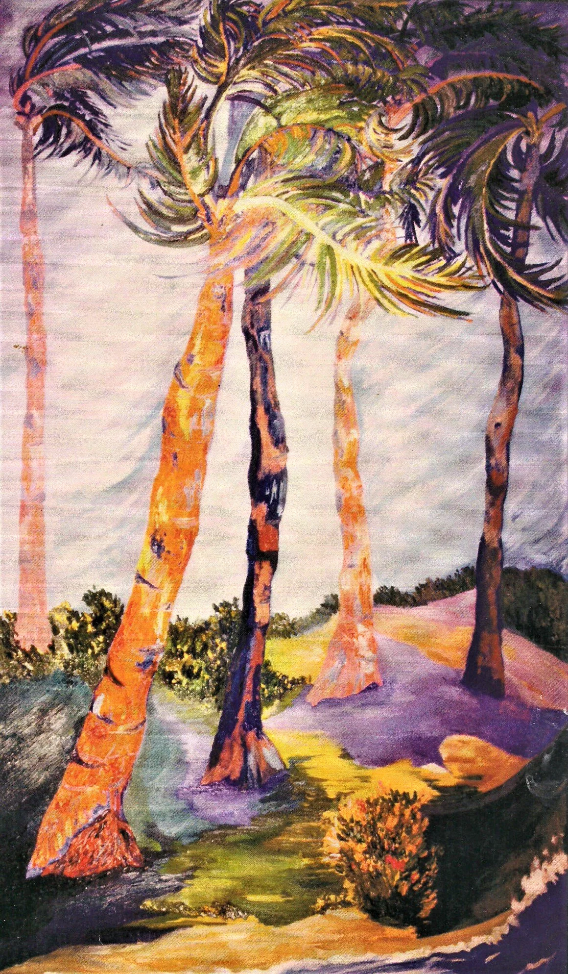 6 Windy Day at Poipu.jpg