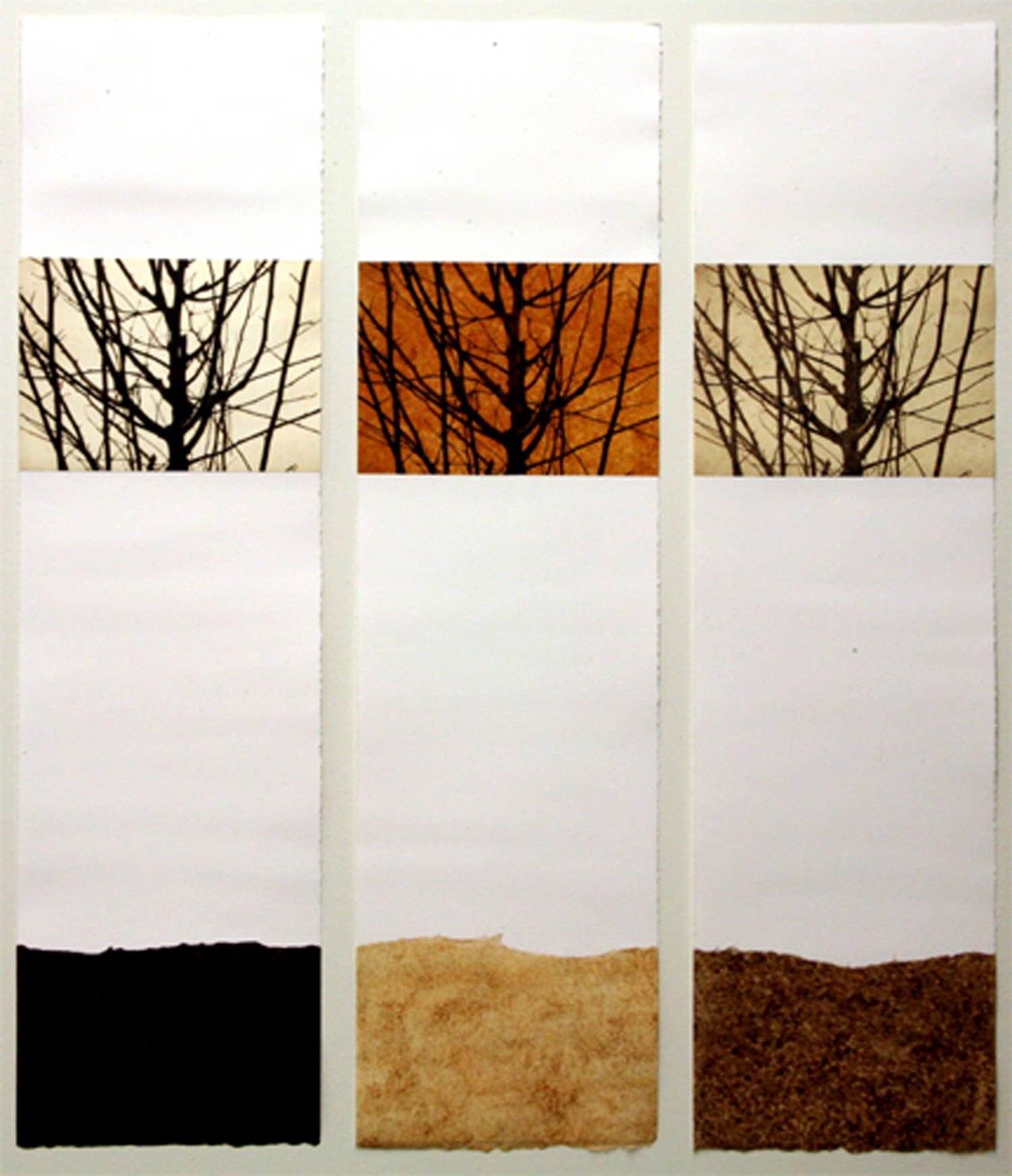 Shades of Autumn (triptych)