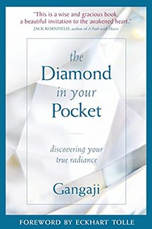 The Diamond in Your Pocket: Discovering Your True Radiance by Gangaji
