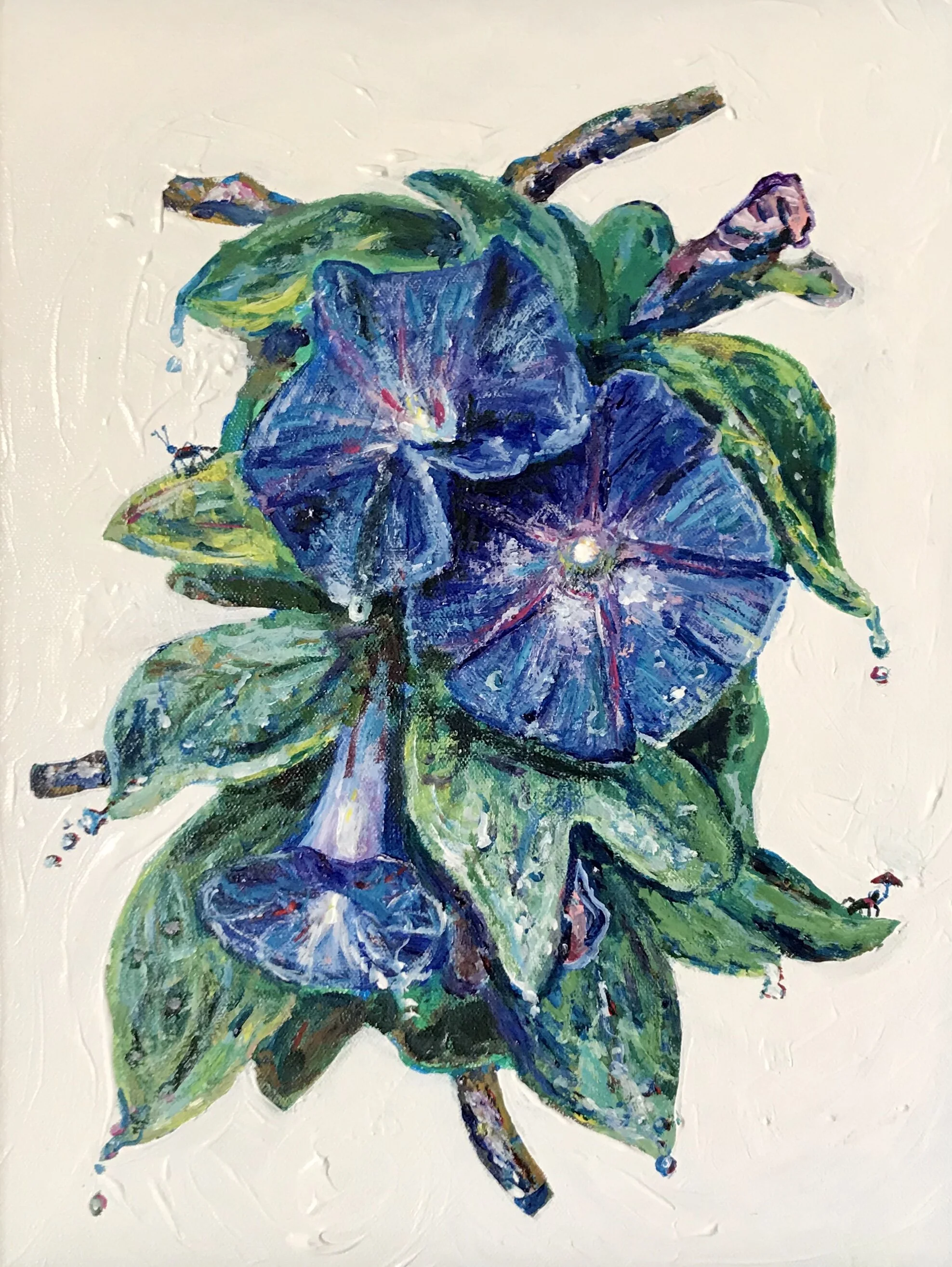 Morning Glory - 14x18"