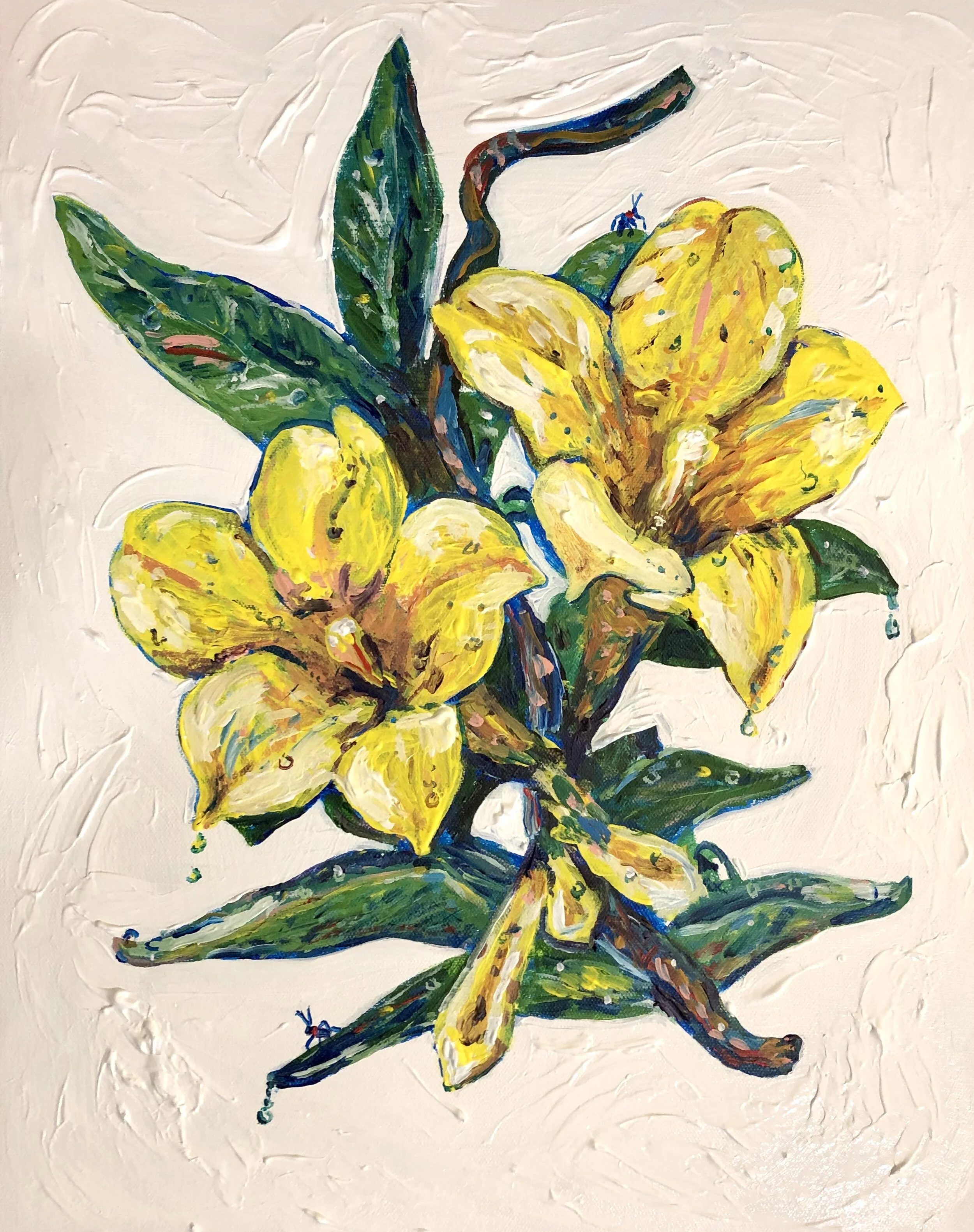 South Carolina Yellow Jessamine - 16x20"