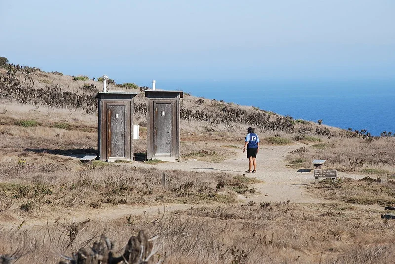 Poop Happens. What Happens Next?