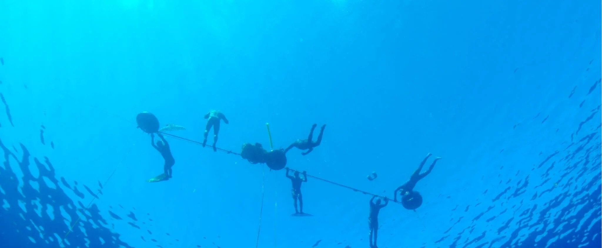 Freediving on Oahu Line Diving For Certified Freedivers — Ocean