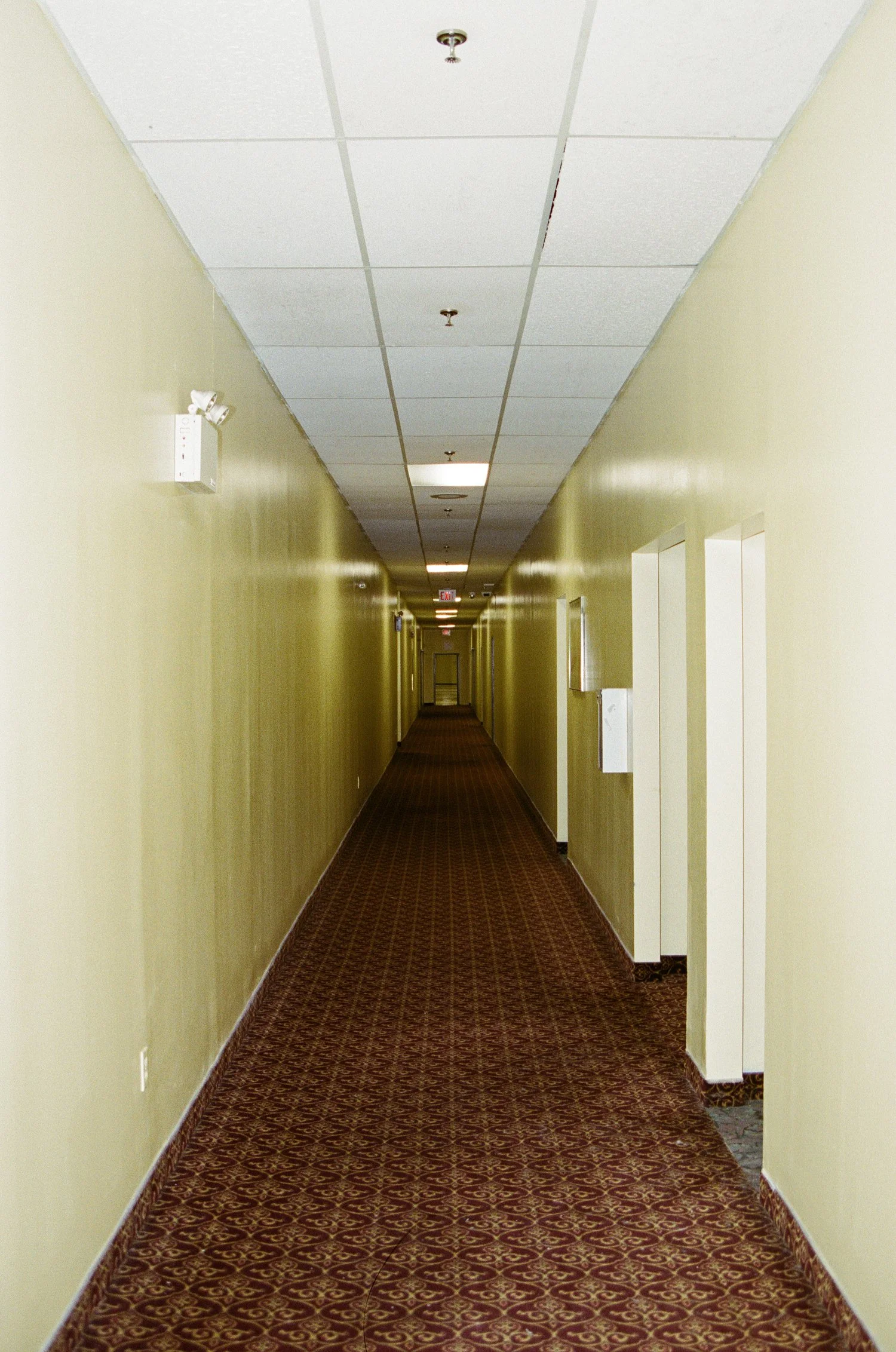 000037240027-web.jpg