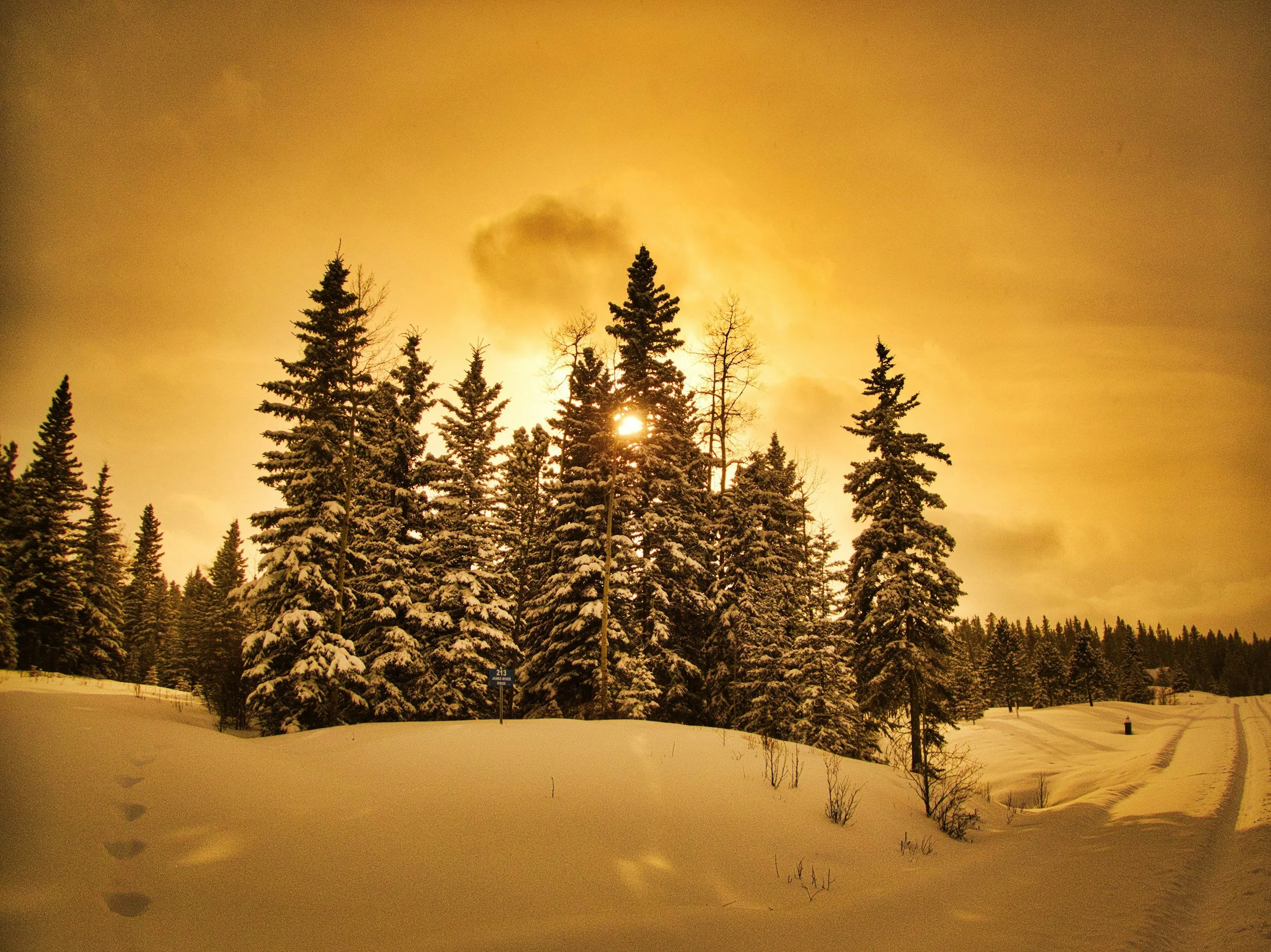 Winter Solstice Yoga Nidra - Bring a friend for free!