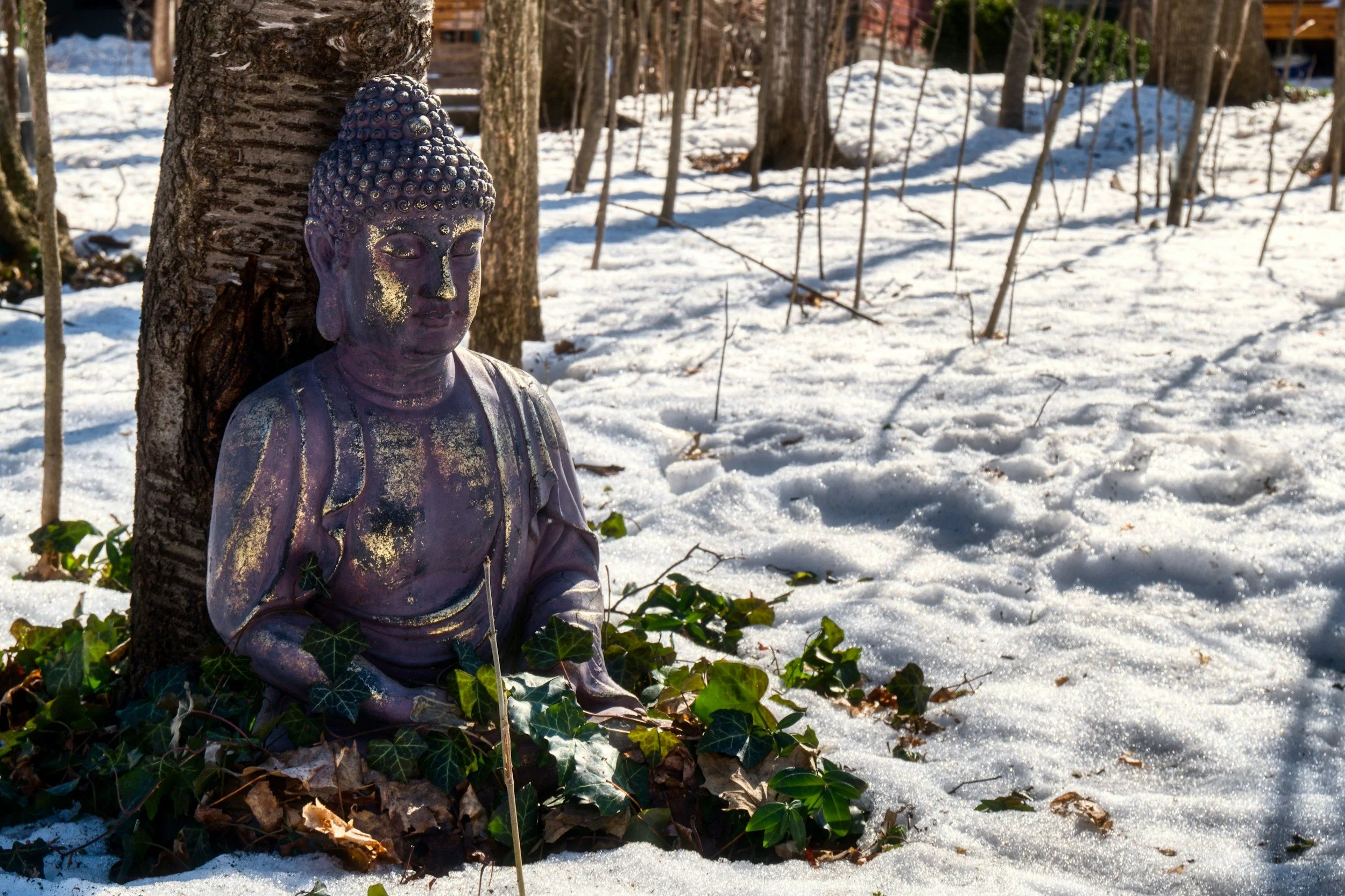 Winter/Spring 2026 Sunday Yoga Week 1