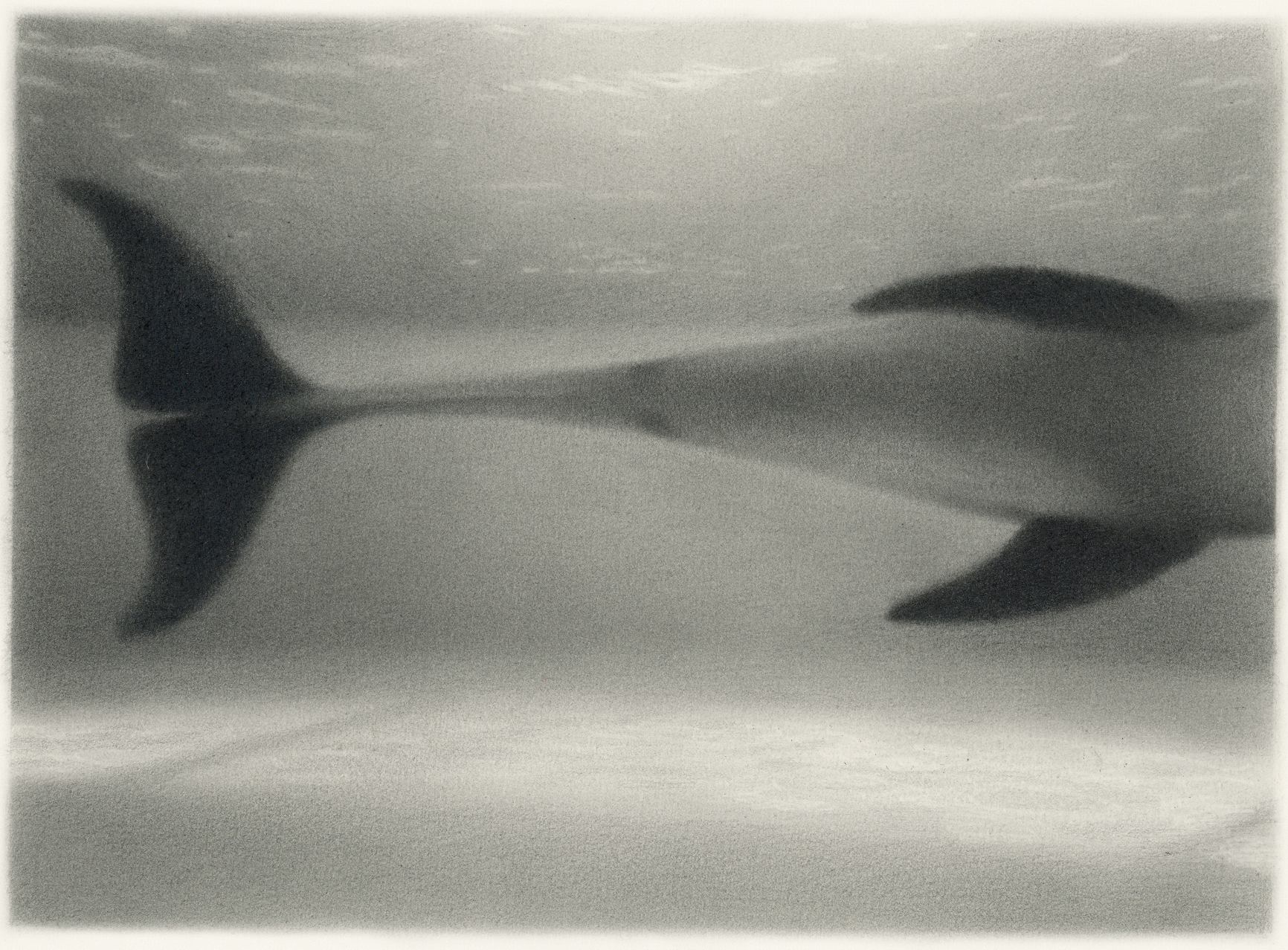  6.5 × 9 in. Graphite on 10 × 14 in. paper. 2025. 