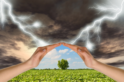 Live, Online Session of Grounded Leadership: Settling Practices for Unsettling Times
