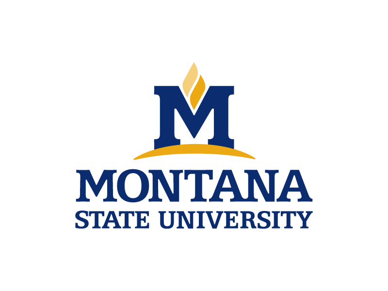 montana state university logo.png