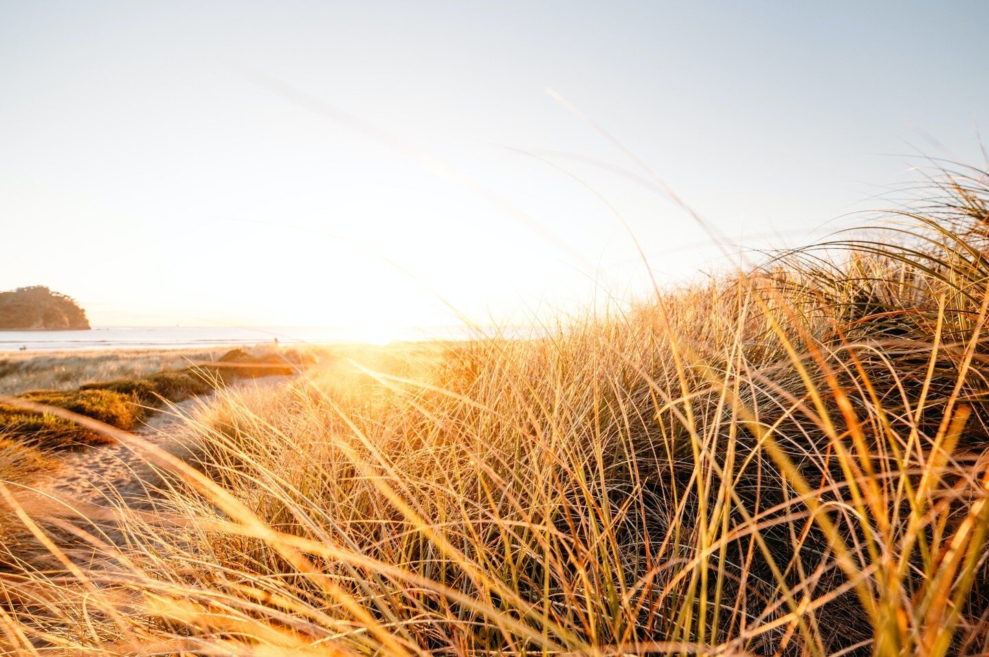 Sun peaking through ☀️⁠
⁠
.⁠
.⁠
⁠
⁠
#sustainablefashion #cotton #linen #mensfashion #newzealandfashion #ethical #designedinnewzealand #hundredlineclothingnz #sustainability